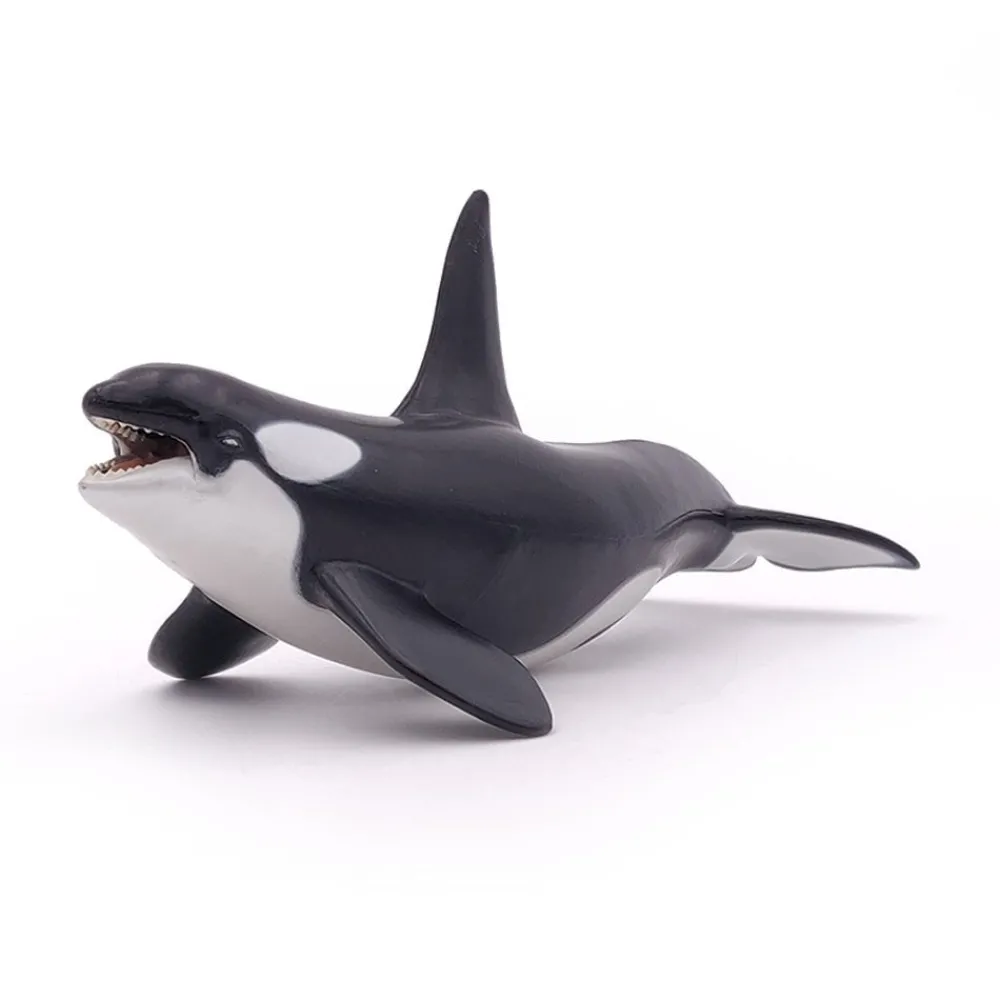 PAPO INTERNATIONAL INC. Killer Whale Hot
