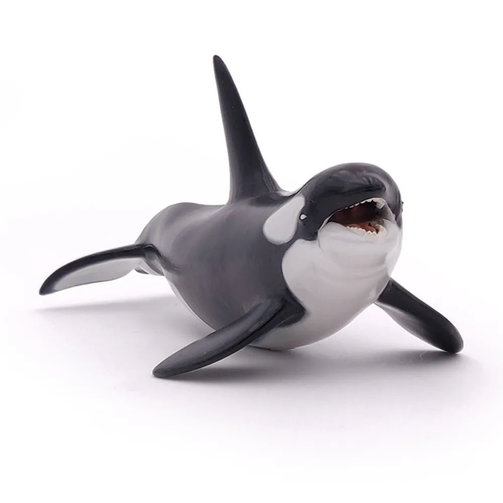 PAPO INTERNATIONAL INC. Killer Whale Hot