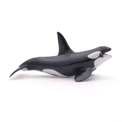 PAPO INTERNATIONAL INC. Killer Whale Hot