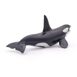 PAPO INTERNATIONAL INC. Killer Whale Hot