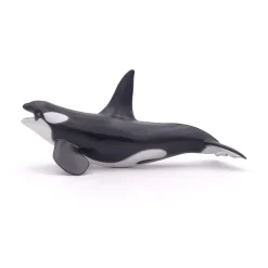 PAPO INTERNATIONAL INC. Killer Whale Hot