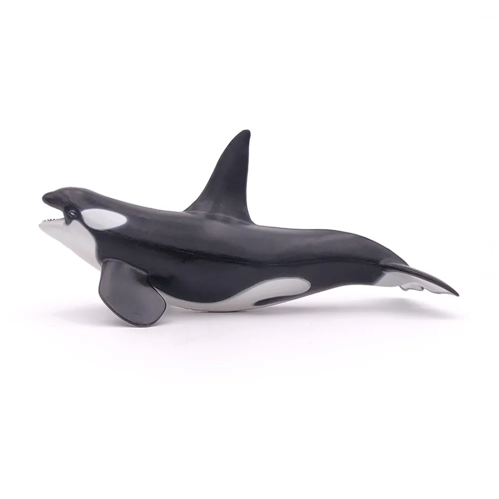 PAPO INTERNATIONAL INC. Killer Whale Hot