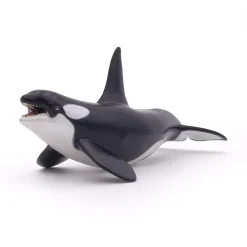 PAPO INTERNATIONAL INC. Killer Whale Hot