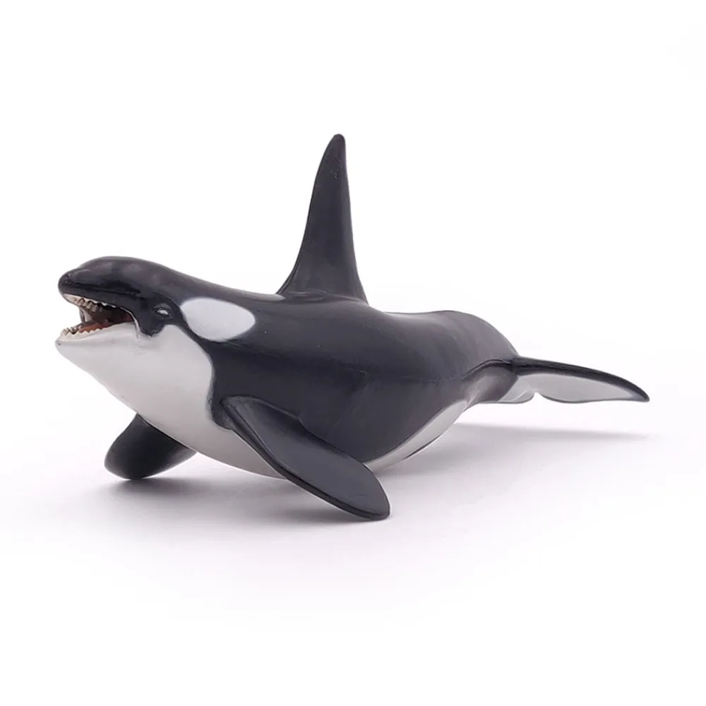 PAPO INTERNATIONAL INC. Killer Whale Hot