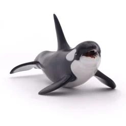 PAPO INTERNATIONAL INC. Killer Whale Hot
