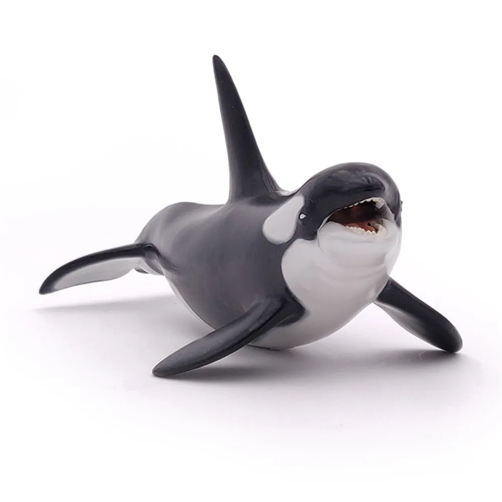 PAPO INTERNATIONAL INC. Killer Whale Hot