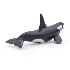PAPO INTERNATIONAL INC. Killer Whale Hot