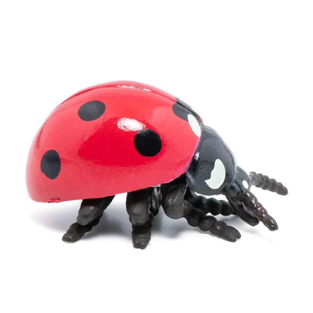 PAPO INTERNATIONAL INC. Ladybug Outlet