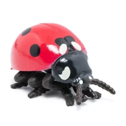 PAPO INTERNATIONAL INC. Ladybug Outlet