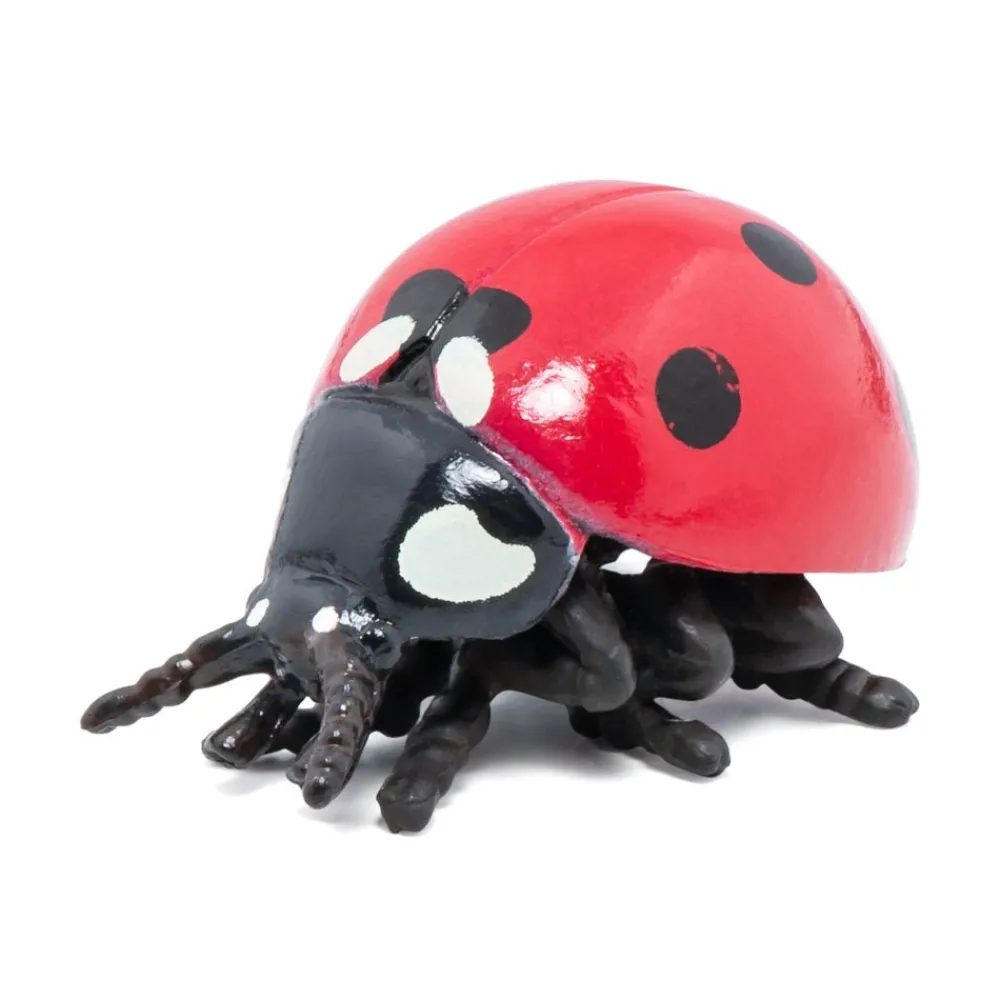 PAPO INTERNATIONAL INC. Ladybug Outlet