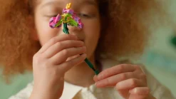 Lego Canada Inc. LEGO Disney Moana?€?s Flowerpot Flower and Mini Doll Online