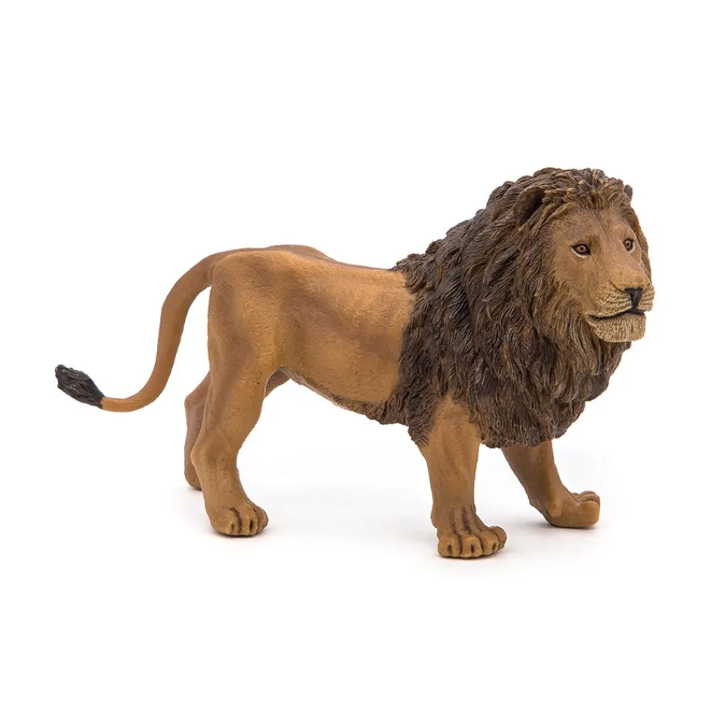 PAPO INTERNATIONAL INC. Lion Outlet