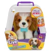 Mastermind Toys Little Live Pets My Really Real Puppy Patches Hot