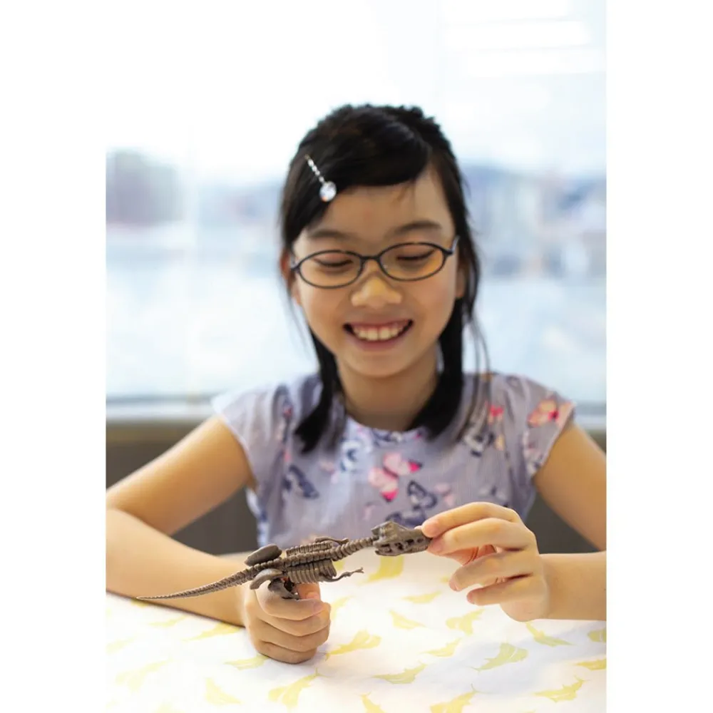 4M KidzLabs/Dig a Skeleton/Triceratops Clearance