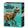 4M KidzLabs/Dig a Skeleton/Velociraptor Outlet