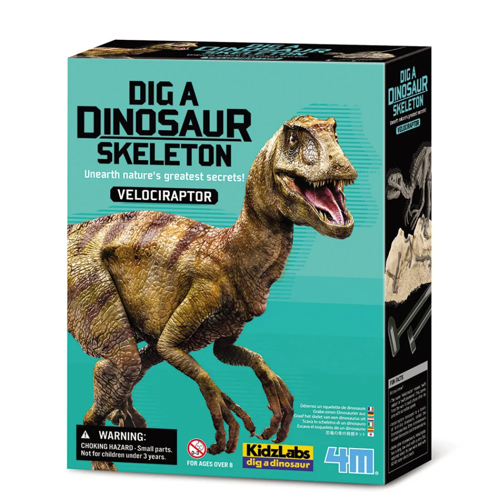 4M KidzLabs/Dig a Skeleton/Velociraptor Outlet