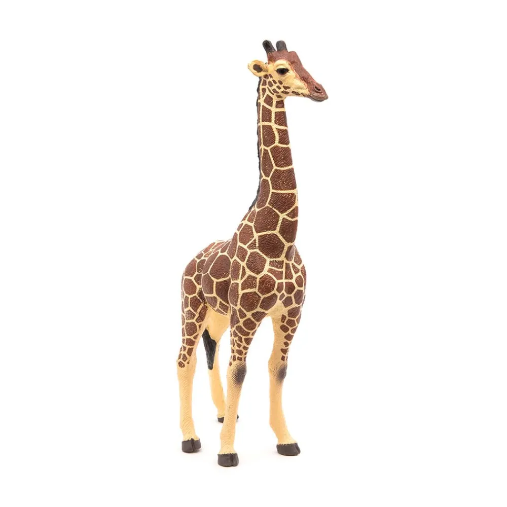 PAPO INTERNATIONAL INC. Male Giraffe New