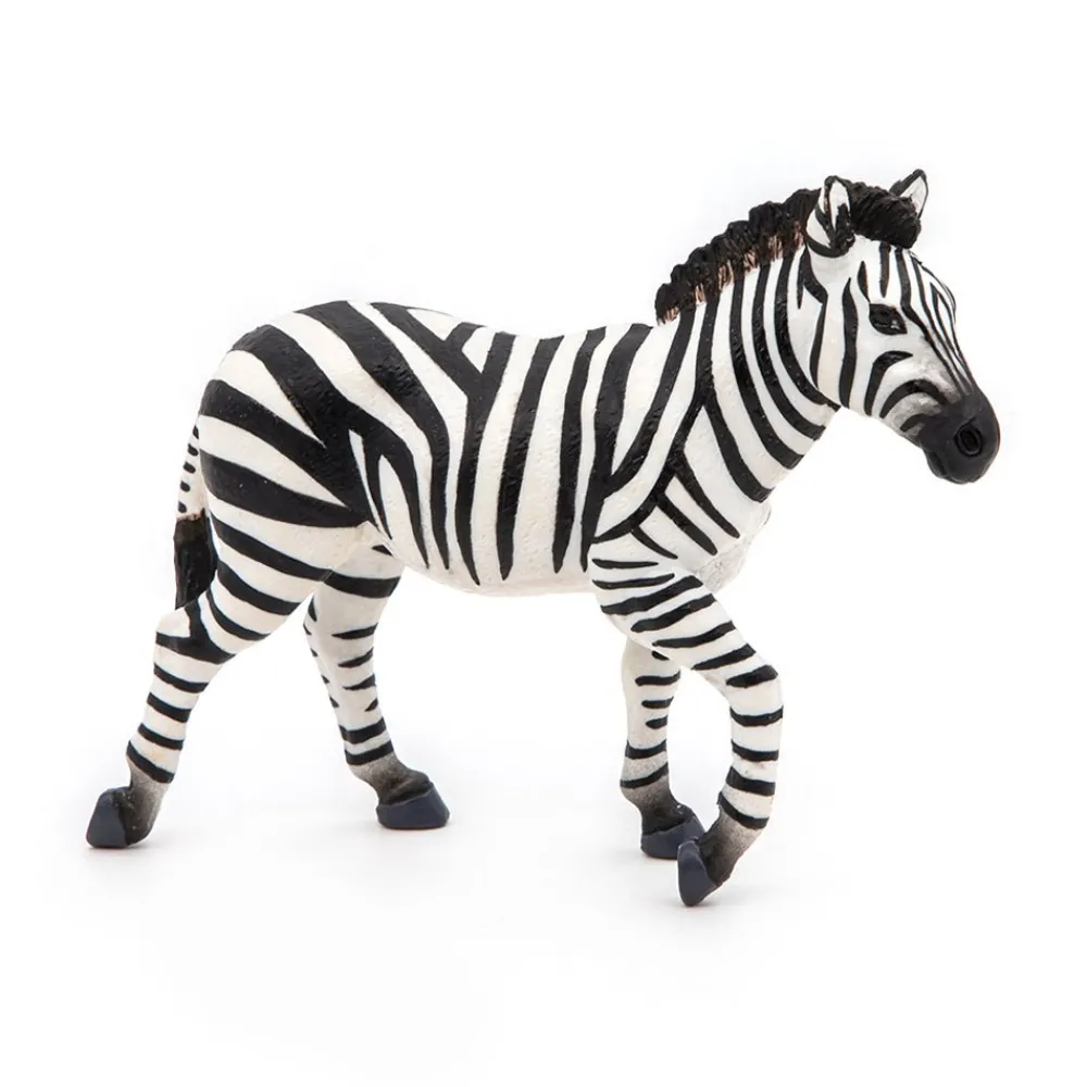 PAPO INTERNATIONAL INC. Male Zebra Online