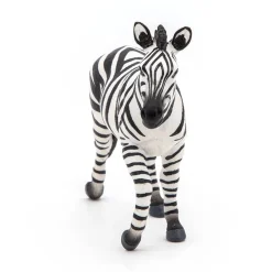 PAPO INTERNATIONAL INC. Male Zebra Online