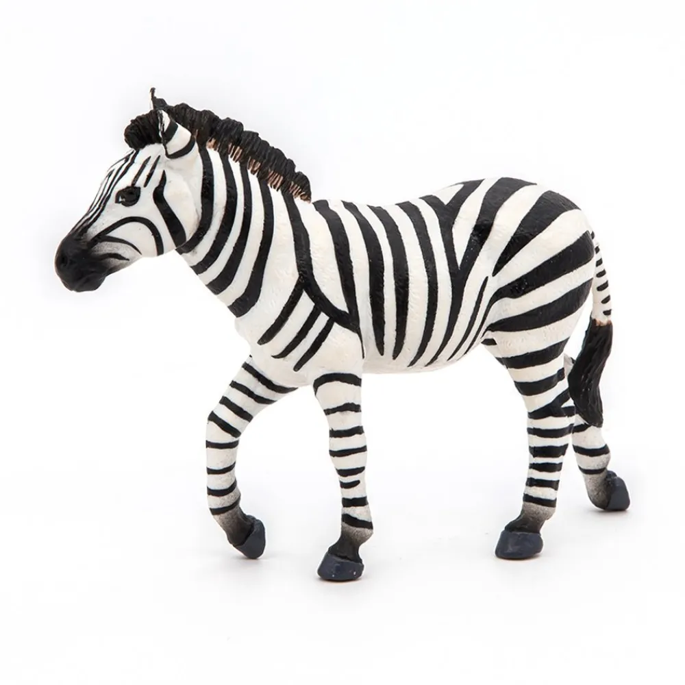 PAPO INTERNATIONAL INC. Male Zebra Online