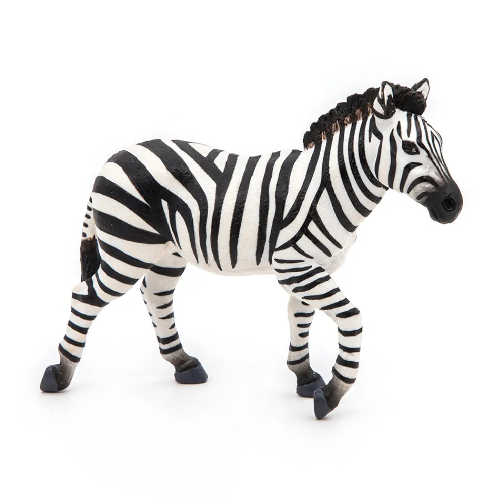 PAPO INTERNATIONAL INC. Male Zebra Online