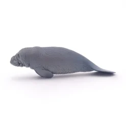 PAPO INTERNATIONAL INC. Manatee Discount