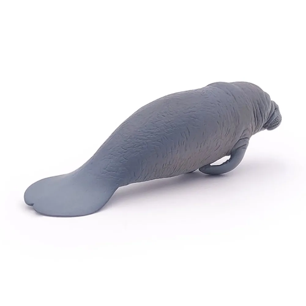 PAPO INTERNATIONAL INC. Manatee Discount
