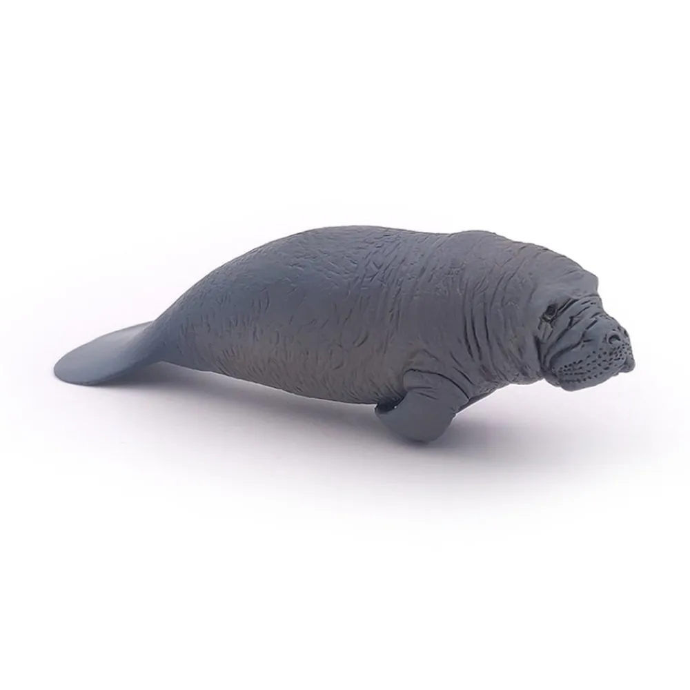 PAPO INTERNATIONAL INC. Manatee Discount