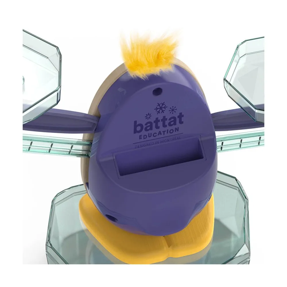 Branford Limited Math Scale Toy Hot