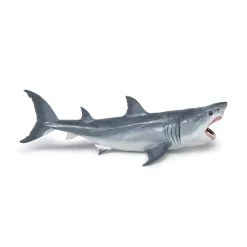 PAPO INTERNATIONAL INC. Megalodon Clearance