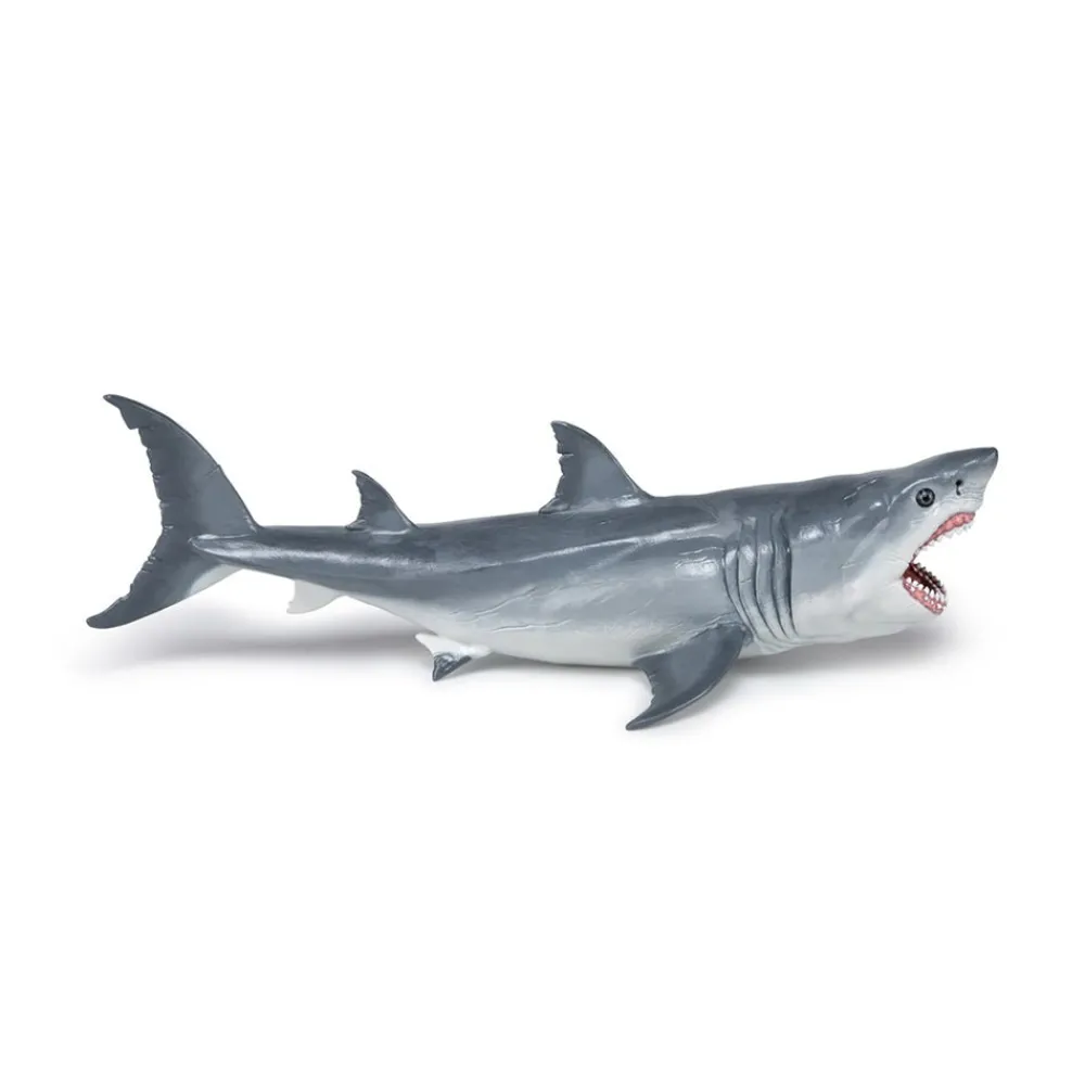 PAPO INTERNATIONAL INC. Megalodon Clearance