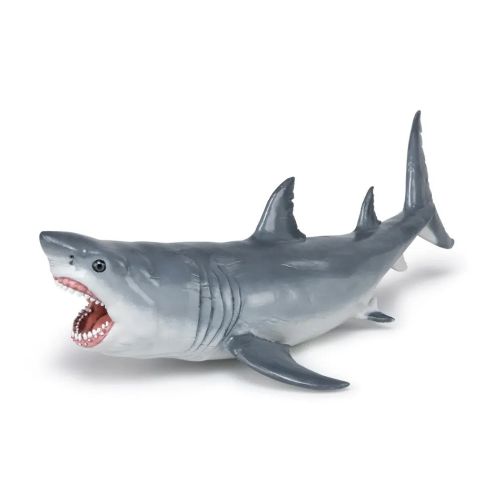 PAPO INTERNATIONAL INC. Megalodon Clearance