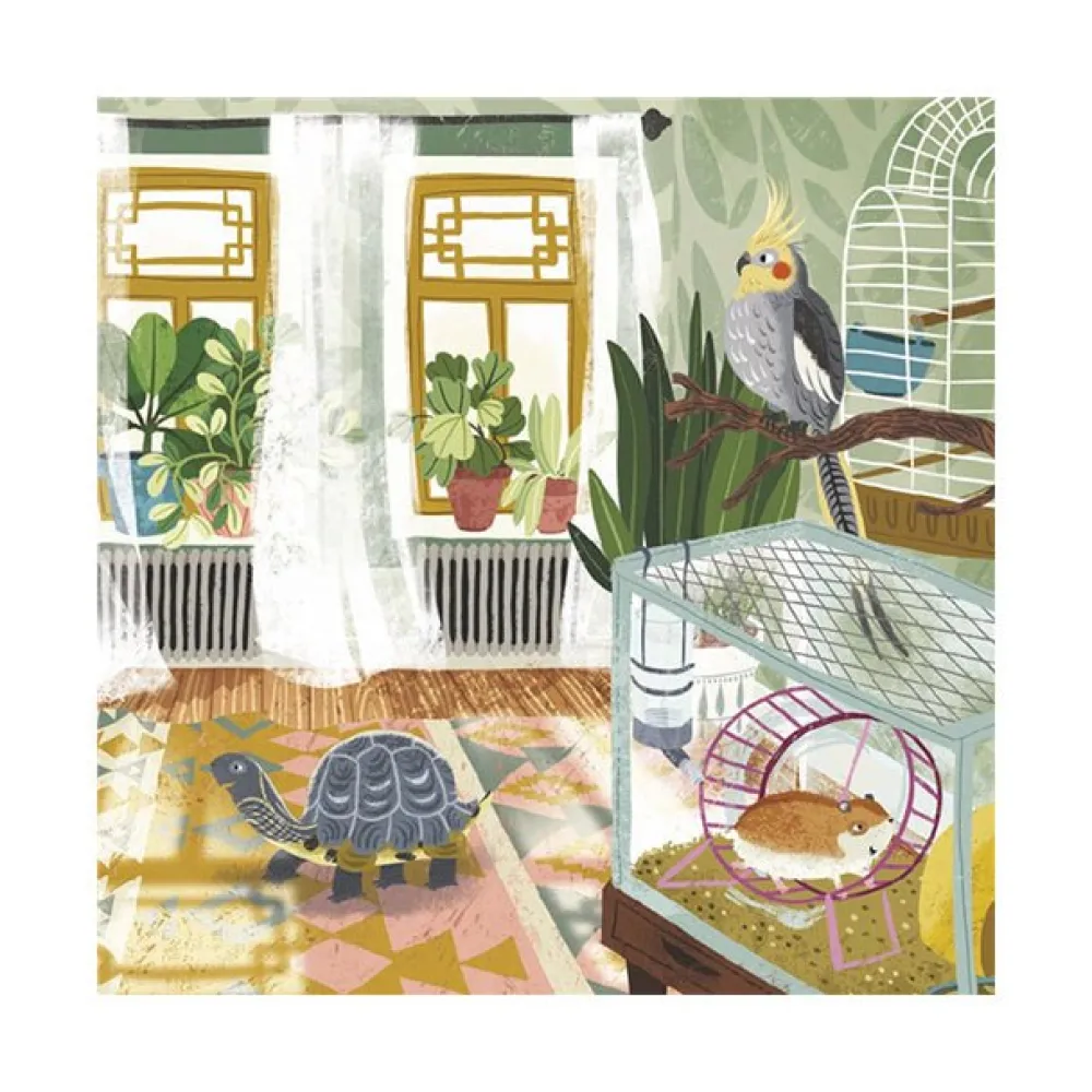 Raincoast Book Distr. Ltd. My First Book of House Pets Fashion