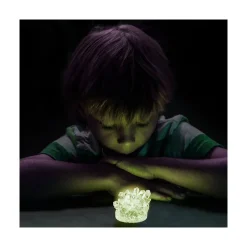 National Georaphic National Geographic Crystal Growing Lab Asst Outlet