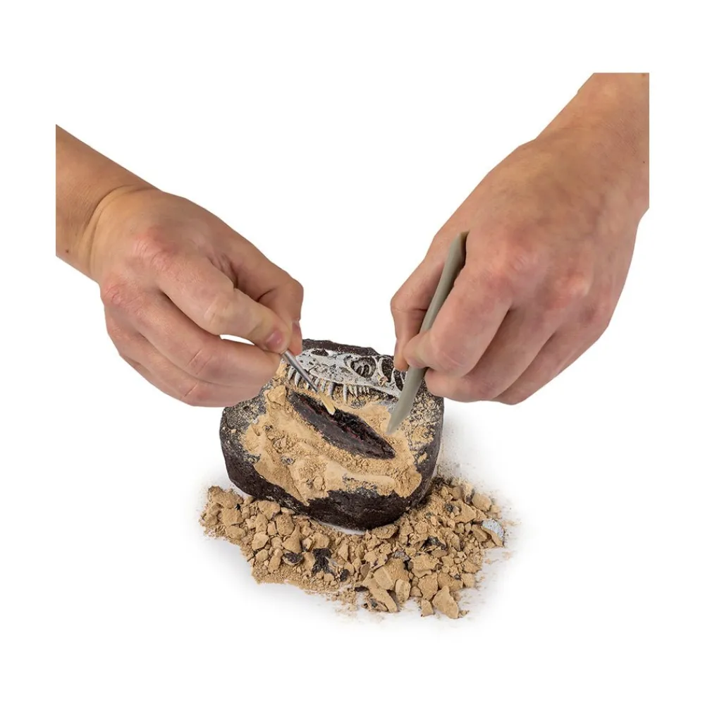 National Georaphic National Geographic Dino Dig Kit Sale