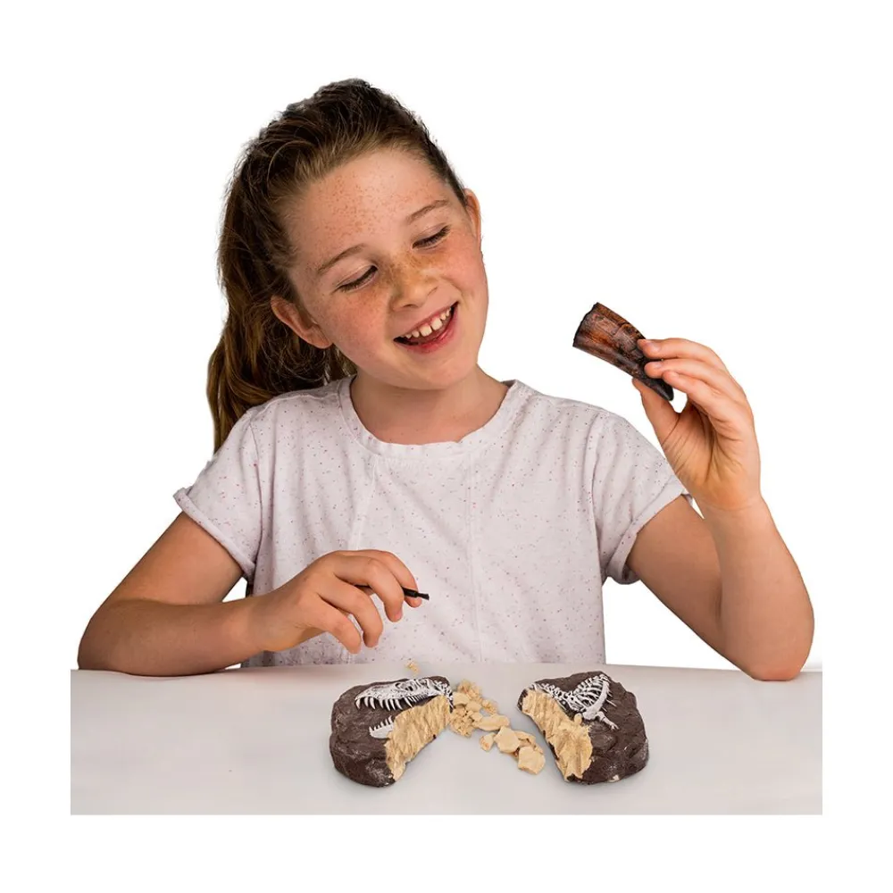 National Georaphic National Geographic Dino Dig Kit Sale