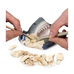 National Georaphic National Geographic Shark Tooth Dig Kit Clearance