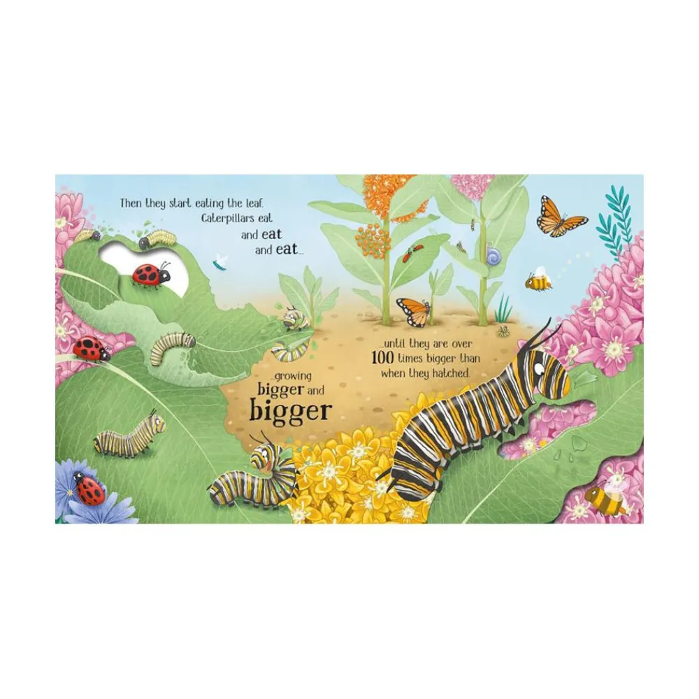 Mastermind Toys One Little Butterfly Book Clearance