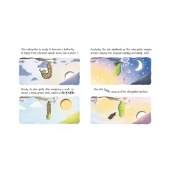 Mastermind Toys One Little Butterfly Book Clearance