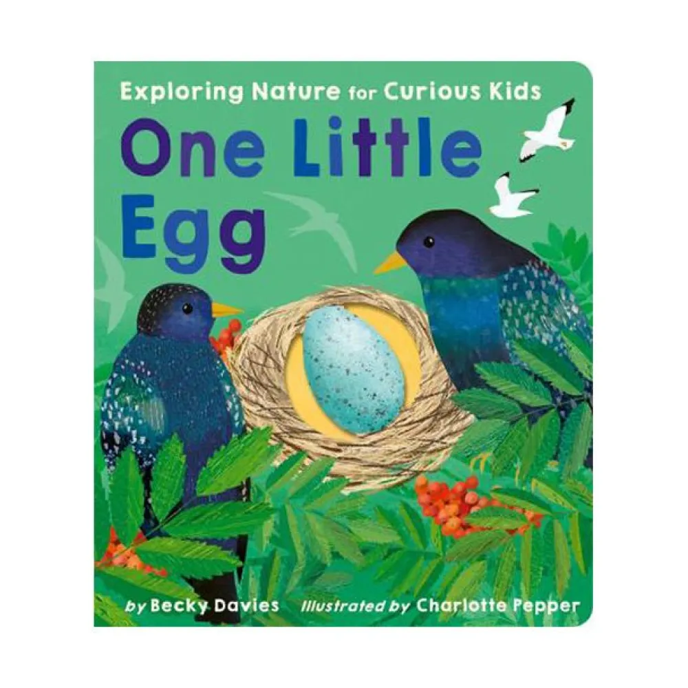 Mastermind Toys One Little Egg Exploring Nature for Curious Kids Book Outlet