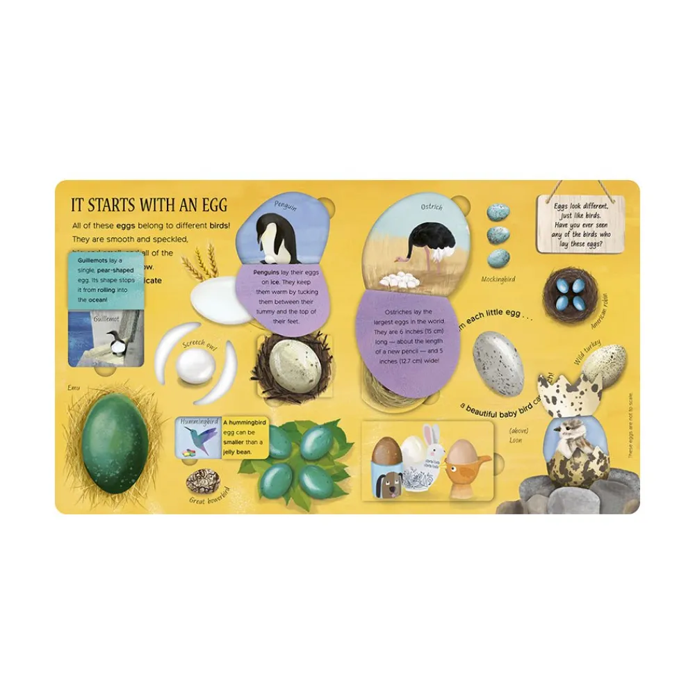 Mastermind Toys One Little Egg Exploring Nature for Curious Kids Book Outlet
