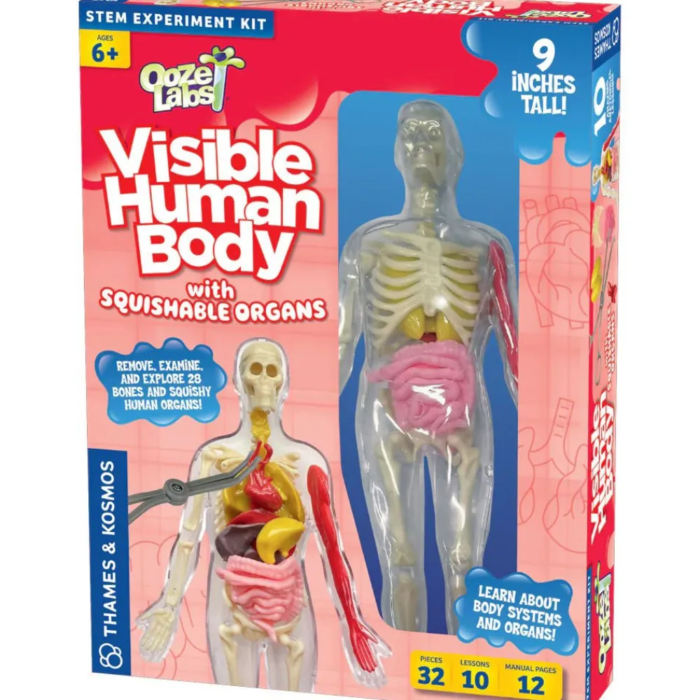 Thames & Kosmos Ooze Labs: Visible Human Body Hot