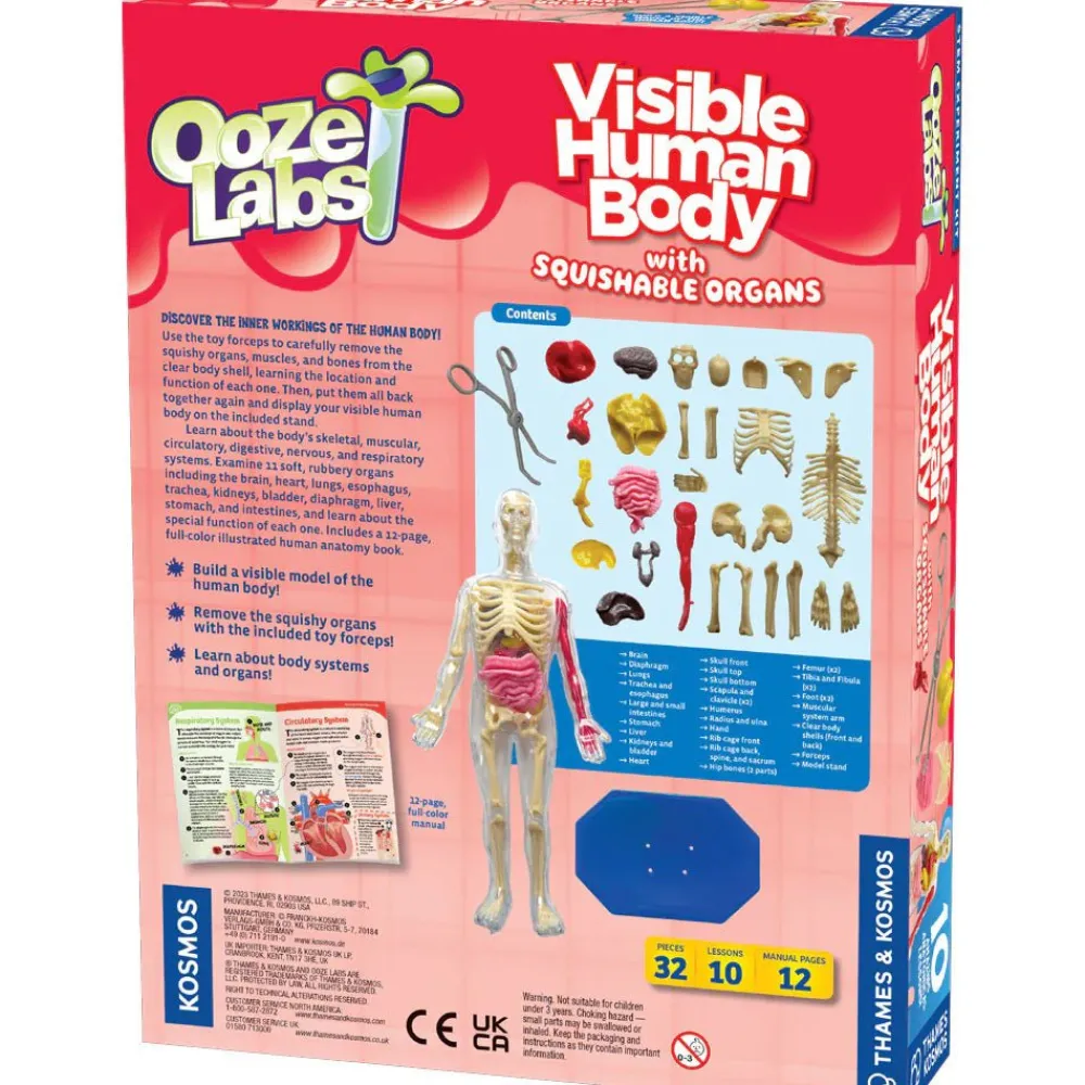 Thames & Kosmos Ooze Labs: Visible Human Body Hot