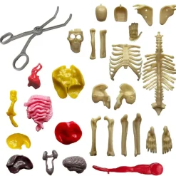 Thames & Kosmos Ooze Labs: Visible Human Body Hot