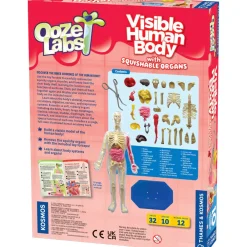 Thames & Kosmos Ooze Labs: Visible Human Body Hot