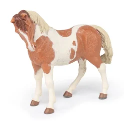 PAPO INTERNATIONAL INC. Pinto Mare Fashion