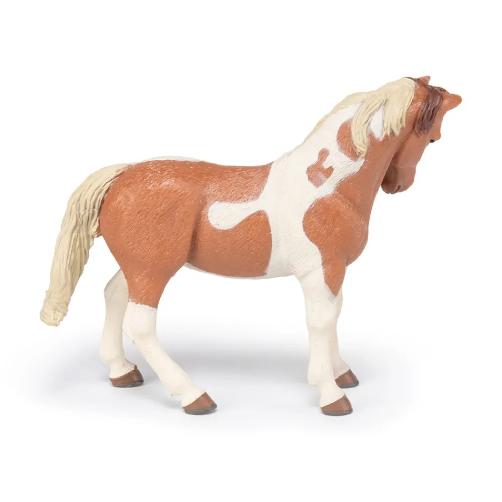 PAPO INTERNATIONAL INC. Pinto Mare Fashion