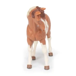 PAPO INTERNATIONAL INC. Pinto Mare Fashion