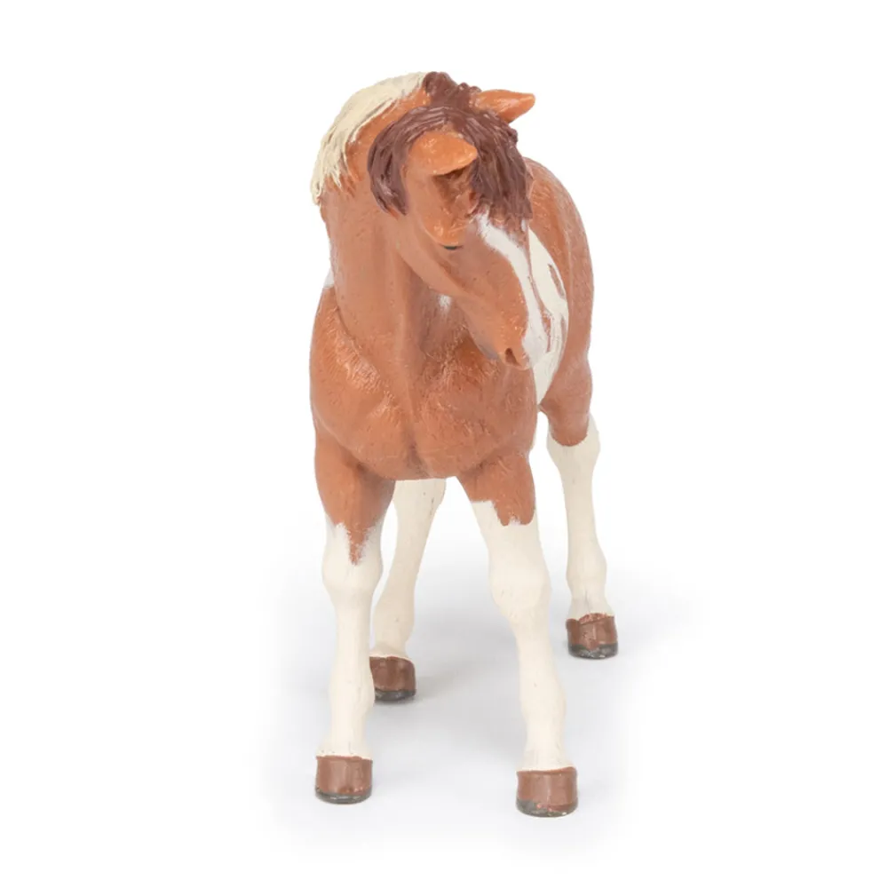 PAPO INTERNATIONAL INC. Pinto Mare Fashion
