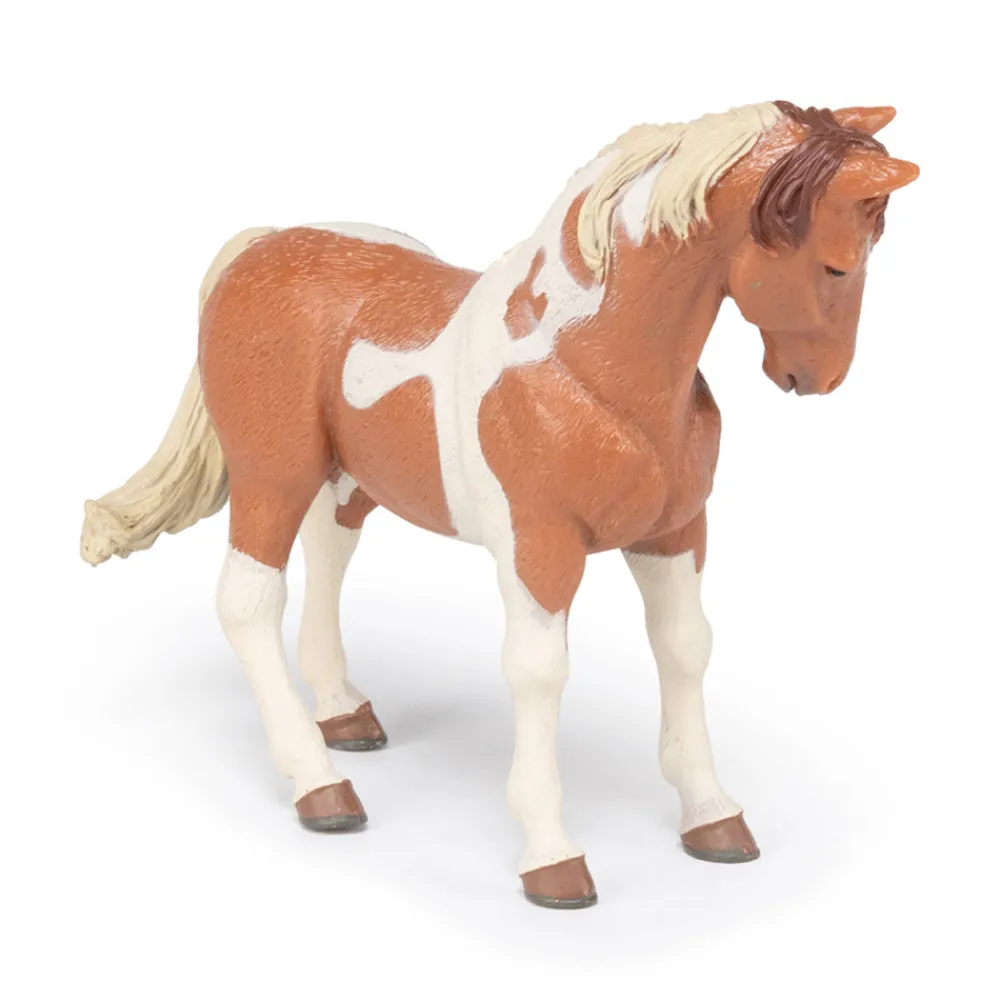 PAPO INTERNATIONAL INC. Pinto Mare Fashion
